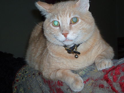 Max